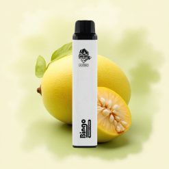 Aivono Aim Bingo 4000 Mangue Litchi 1000mAh 10mL 5% nicotine