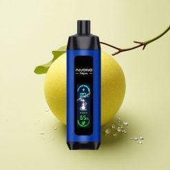 Aivono Aim Fatpro 22000 Glace Baie 5% Nicotine 600mAh