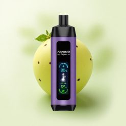 Aivono Aim Fatpro 22000 Menthe Raisin 5% Nicotine 600mAh