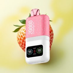 Aivono Aim Magic 20000 Glace à la Fraise Dual Mesh 600mAh