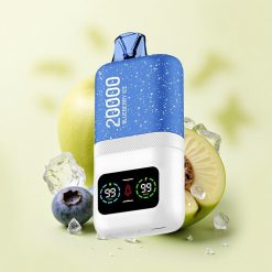 Aivono Aim Magic 20000 Glace Myrtille Dual Mesh 600mAh