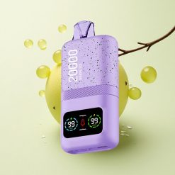 Aivono Aim Magic 20000 Glace Raisin Dual Mesh 600mAh