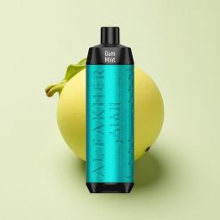 Al Fakher Crown Bar 8000 Crystal Menthe Gingembre avec 5mg de Nicotine et Batterie 600mAh