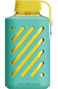 VOZOL Avis - VOZOL GEAR 10000 pastèque framboise 8J882306