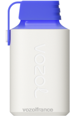 VOZOL Avis - VOZOL GEAR 600 citron bleu razz 8J882346