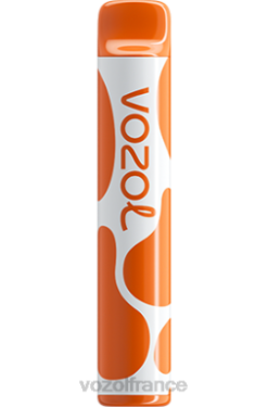VOZOL Avis - VOZOL JOYGO 600 glace à la mangue 8J882386