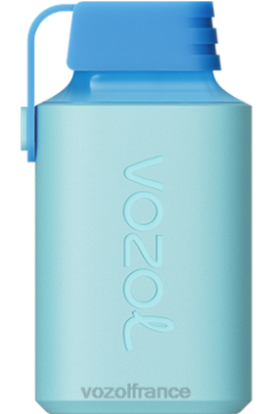 VOZOL France - VOZOL GEAR 600 glace aux myrtilles 8J882361