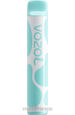 VOZOL France - VOZOL JOYGO 600 bonbons arc-en-ciel 8J882391