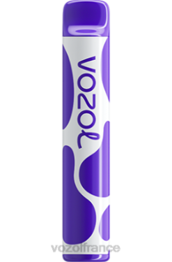VOZOL France - VOZOL JOYGO 600 glace aux raisins 8J882381