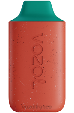 VOZOL France - VOZOL STAR 6000 pastèque fruit du dragon 8J882111