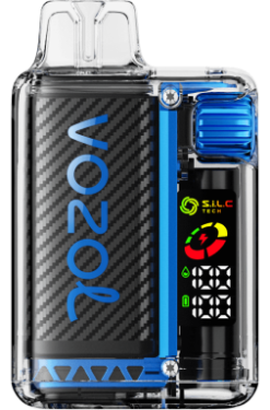 VOZOL France - VOZOL VISTA 16000/20000 glace bleue 8J8821