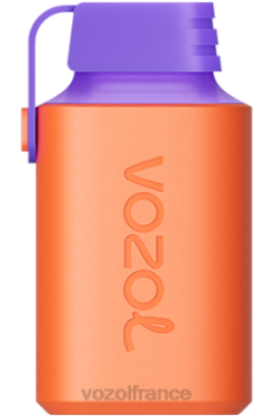 VOZOL Paris - VOZOL GEAR 600 litchi goyave pastèque 8J882353