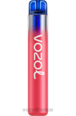 VOZOL Paris - VOZOL NEON 800 glace aux myrtilles 8J882283