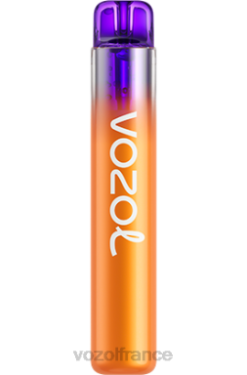 VOZOL Paris - VOZOL NEON 800 pêche, mangue, pastèque 8J882253