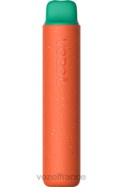 VOZOL Paris - VOZOL STAR 2000 pastèque framboise 8J882163