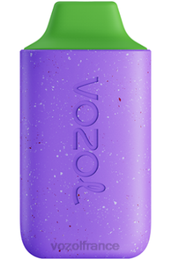 VOZOL Paris - VOZOL STAR 6000 raisin d'aloès 8J882103