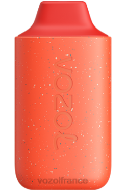 VOZOL Paris - VOZOL STAR 6000 sang de tigre 8J882133