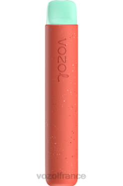VOZOL Paris - VOZOL STAR 600 pomme fraise 8J88293