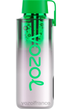 VOZOL Prix - VOZOL NEON 10000 glace à la pomme aigre 8J882238