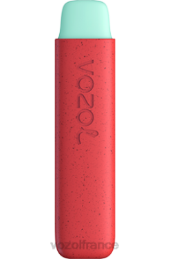 VOZOL Prix - VOZOL STAR 550 pêche aux pommes 8J882138