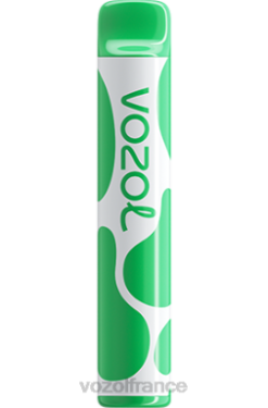 VOZOL Rechargeable - VOZOL JOYGO 600 glace à la pastèque 8J882395