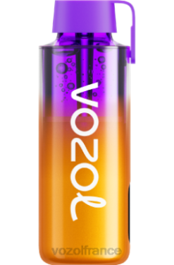 VOZOL Rechargeable - VOZOL NEON 10000 Baies mélangées 8J882235