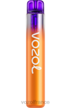 VOZOL Rechargeable - VOZOL NEON 800 fruit de la passion citron 8J882275