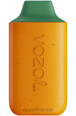 VOZOL Rechargeable - VOZOL STAR 6000 kiwi goyave fruit de la passion 8J882115