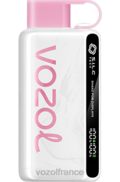 VOZOL Rechargeable - VOZOL STAR 9000/12000 glace à la pêche 8J88245