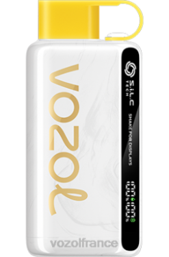 VOZOL Rechargeable - VOZOL STAR 9000/12000 kiwi fruit de la passion goyave 8J88225
