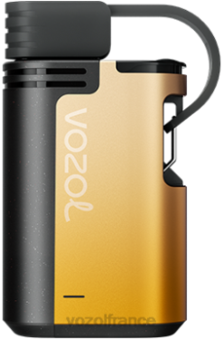 VOZOL Vape Avis - VOZOL GEAR 4000c/6000 mangue fruit de la passion 8J882327