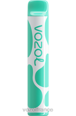 VOZOL Vape Avis - VOZOL JOYGO 600 menthol 8J882387