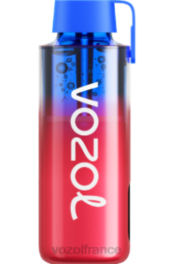 VOZOL Vape Avis - VOZOL NEON 10000 kiwi fraise surgelé 8J882227
