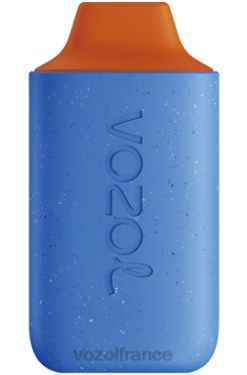 VOZOL Vape Avis - VOZOL STAR 6000 myrtille framboise cerise 8J882107