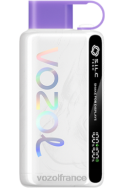 VOZOL Vape Avis - VOZOL STAR 9000/12000 bonbons arc-en-ciel 8J88247