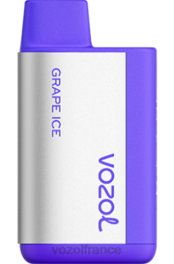 VOZOL Vape Avis - VOZOL TIGO 600 glace aux raisins 8J882367