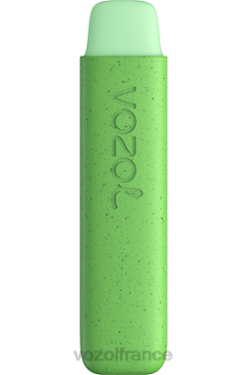 VOZOL Vape France - VOZOL STAR 550 glace luxuriante 8J882142