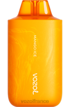 VOZOL Vape France - VOZOL STAR 6000/8000v2 glace à la mangue 8J88262