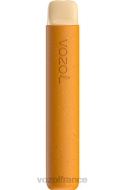 VOZOL Vape France - VOZOL STAR 600 mangue glacée 8J88282