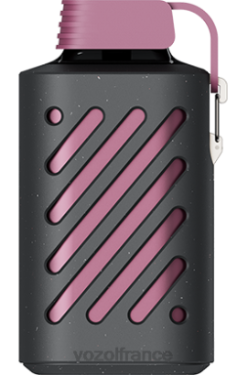 VOZOL Vape Shop - VOZOL GEAR 10000 fruit de la passion framboise mandarine 8J882300