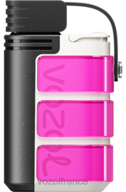 VOZOL Vape Shop - VOZOL GEAR 4000c/6000 rose 8J882320