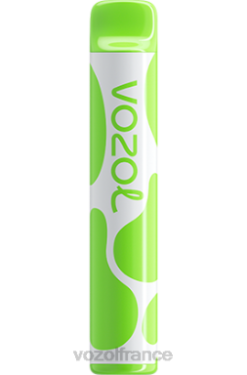 VOZOL Vape Shop - VOZOL JOYGO 600 double pomme 8J882380