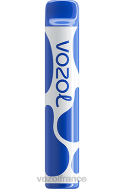 VOZOL Vape Shop - VOZOL JOYGO 600 tempête de bleuets 8J882390