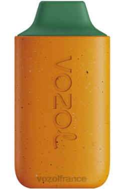 VOZOL Vape Shop - VOZOL STAR 6000 mangue pêche pastèque 8J882120