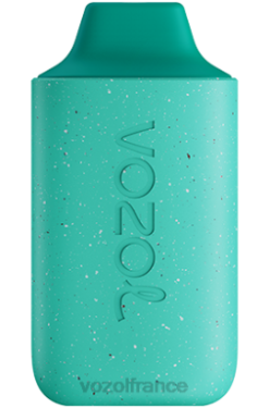 VOZOL Vape Shop - VOZOL STAR 6000 menthe fraîche 8J882110