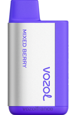 VOZOL Vape Shop - VOZOL TIGO 600 baies mélangées 8J882370