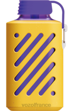 VOZOL Vape Store - VOZOL GEAR 10000 Baies mélangées 8J882299
