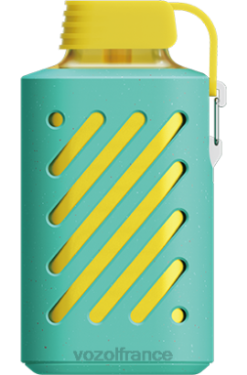 VOZOL Vape Store - VOZOL GEAR 10000 double pomme 8J882289