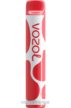 VOZOL Vape Store - VOZOL JOYGO 600 glace à la pêche 8J882389