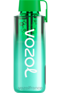 VOZOL Vape Store - VOZOL NEON 10000 menthe de Miami 8J882229